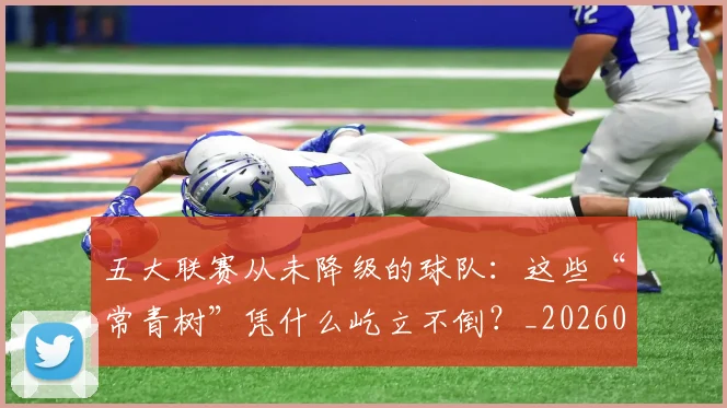 五大联赛从未降级的球队:这些“常青树”凭什么屹立不倒?_20260611141015